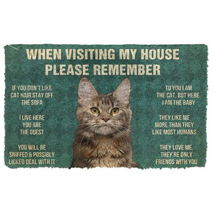 3D Please Remember Polydactyl Cat House Rules Doormat