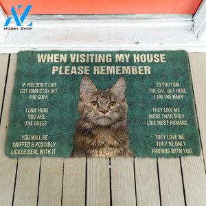 3D Please Remember Polydactyl Cat House Rules Doormat | Welcome Mat | House Warming Gift