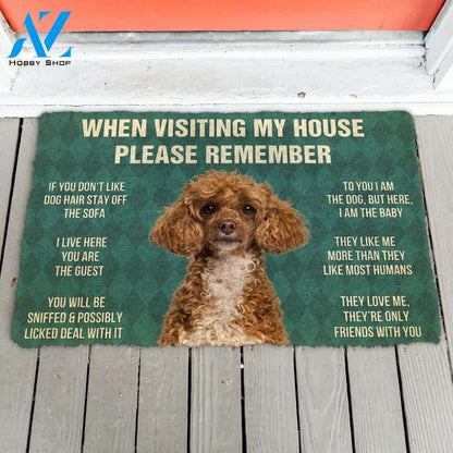 3D Please Remember Poodle Dog's House Rules Doormat | Welcome Mat | House Warming Gift