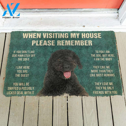 3D Please Remember Portuguese Water Dog House Rules Custom Doormat | Welcome Mat | House Warming Gift