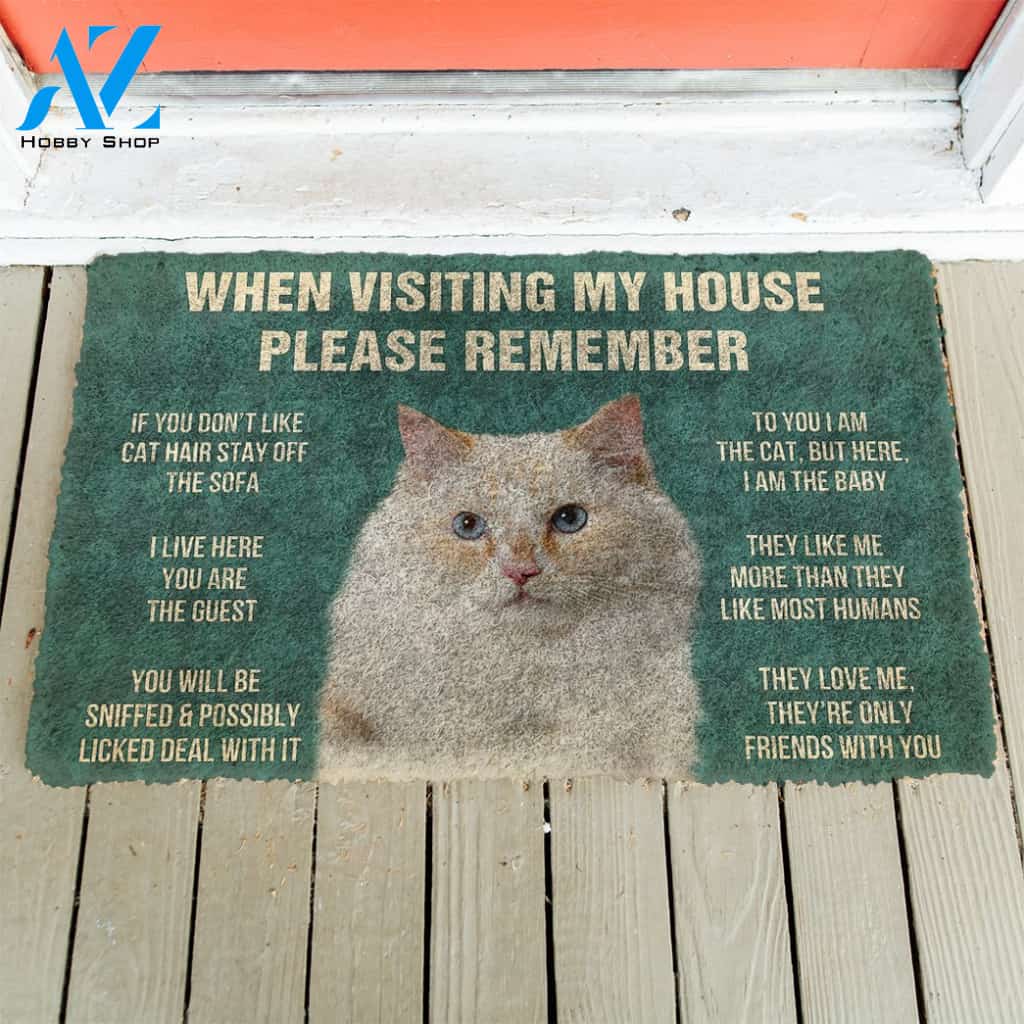 3D Please Remember Ragamuffin Cats House Rules Custom Doormat | Welcome Mat | House Warming Gift