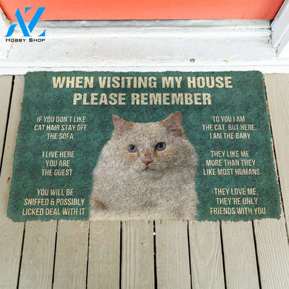 3D Please Remember Ragamuffin Cats House Rules Custom Doormat | Welcome Mat | House Warming Gift