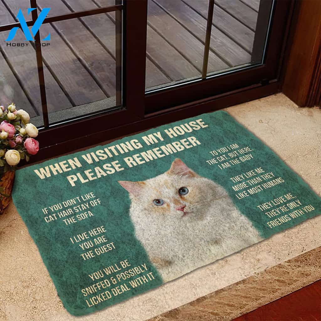 3D Please Remember Ragamuffin Cats House Rules Custom Doormat | Welcome Mat | House Warming Gift
