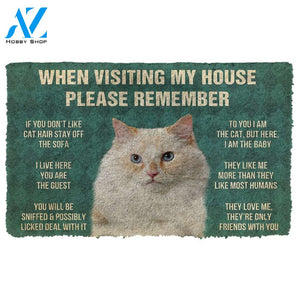 3D Please Remember Ragamuffin Cats House Rules Custom Doormat | Welcome Mat | House Warming Gift