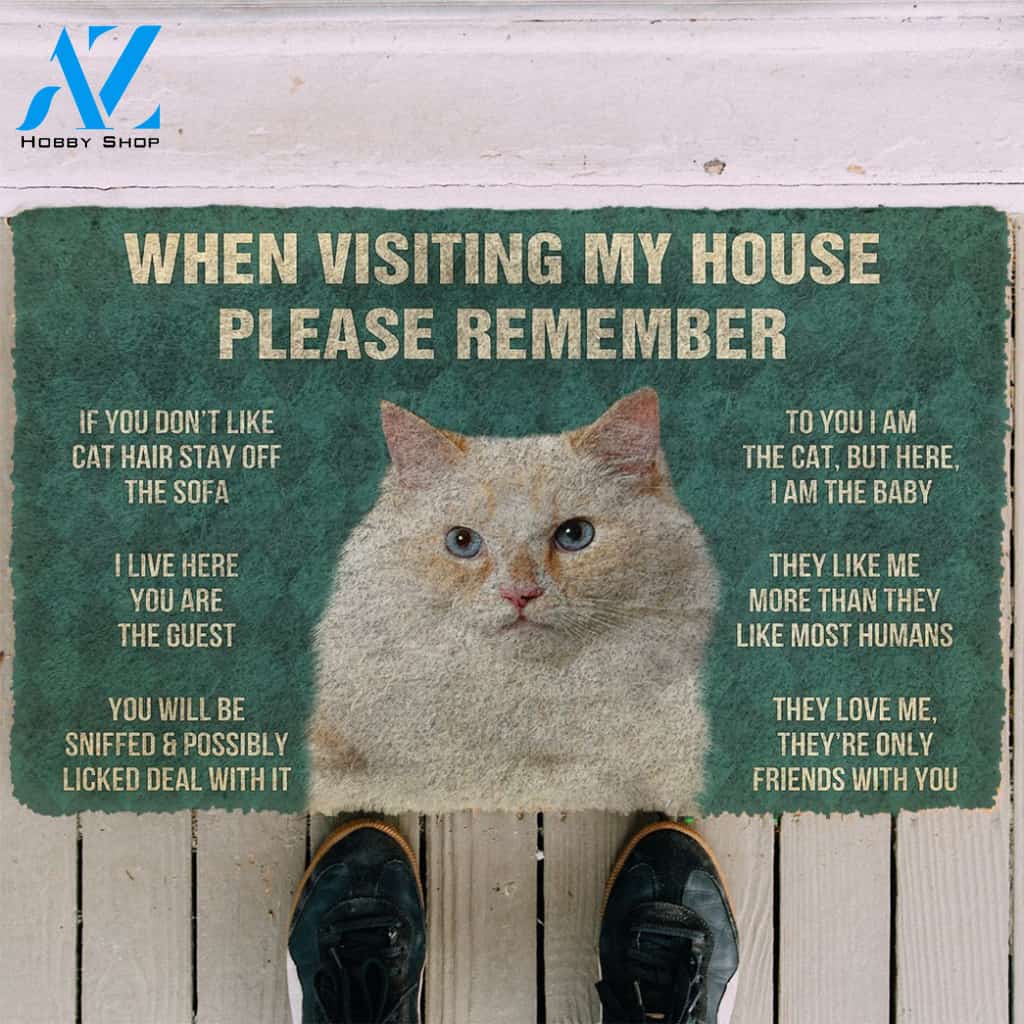 3D Please Remember Ragamuffin Cats House Rules Custom Doormat | Welcome Mat | House Warming Gift
