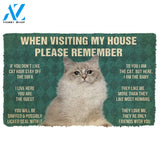 3D Please Remember Ragdoll Cat House Rules Doormat | Welcome Mat | House Warming Gift