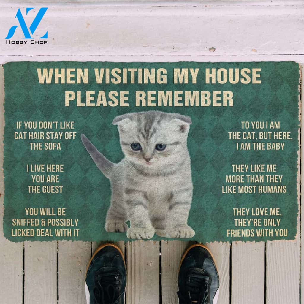3D Please Remember Scottish Fold Kitten Cats House Rules Custom Doormat | Welcome Mat | House Warming Gift