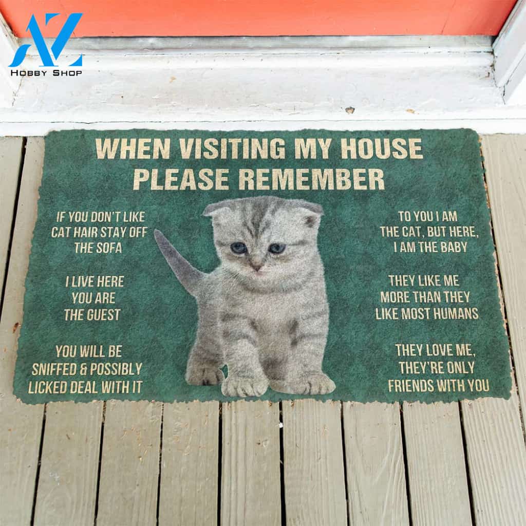 3D Please Remember Scottish Fold Kitten Cats House Rules Custom Doormat | Welcome Mat | House Warming Gift