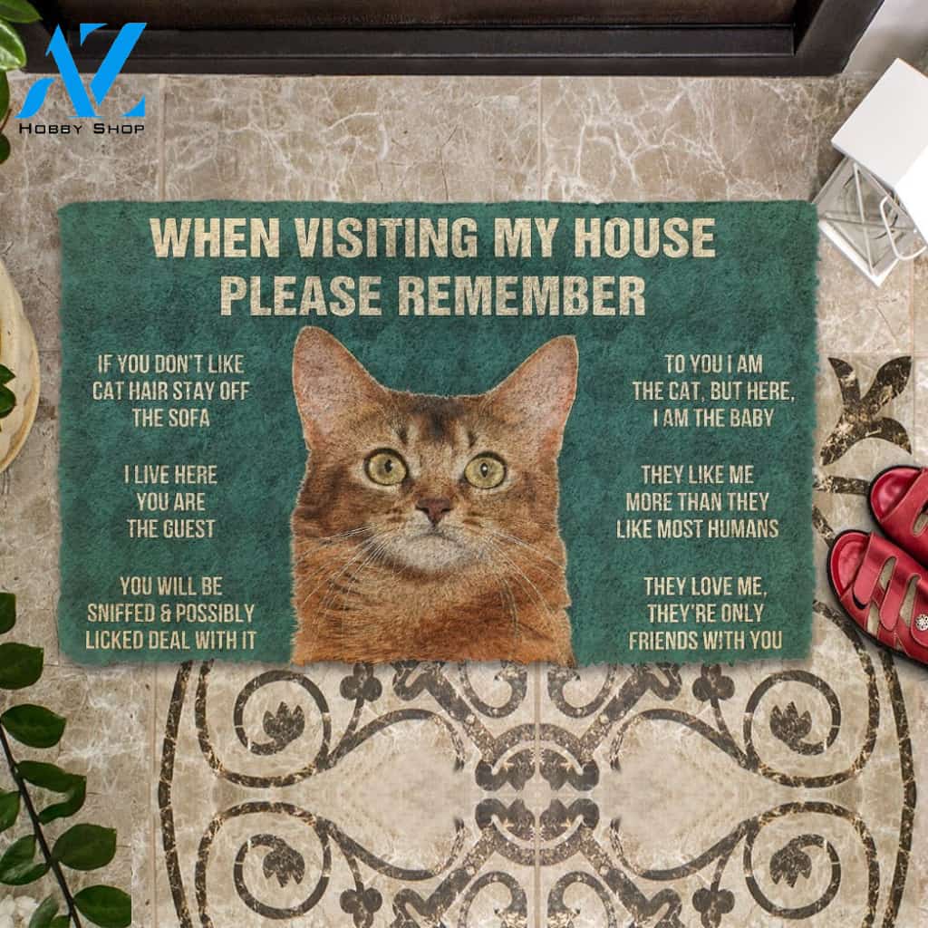 3D Please Remember Somali Cat House Rules Custom Doormat | Welcome Mat | House Warming Gift
