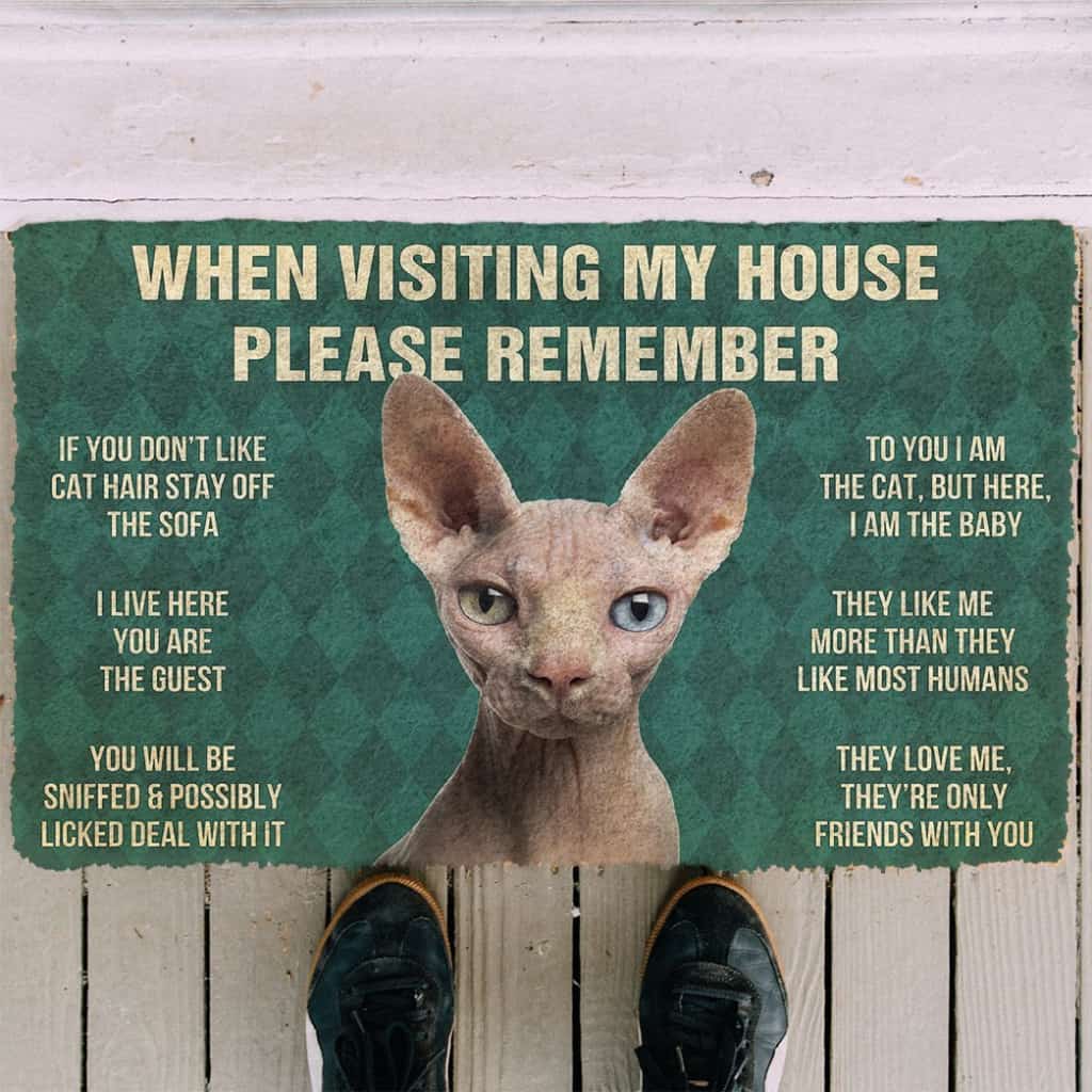 3D Please Remember Sphynx Cat House Rules Doormat