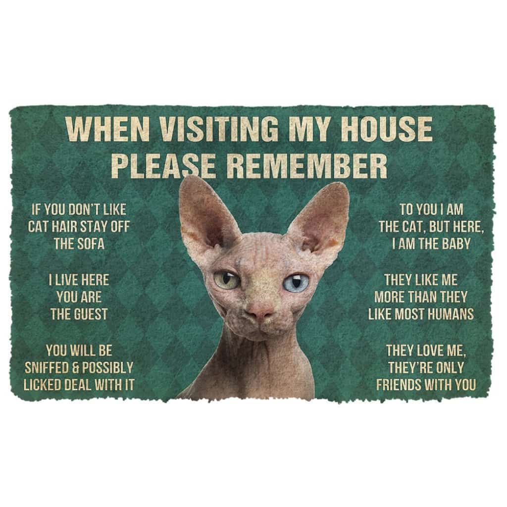 3D Please Remember Sphynx Cat House Rules Doormat