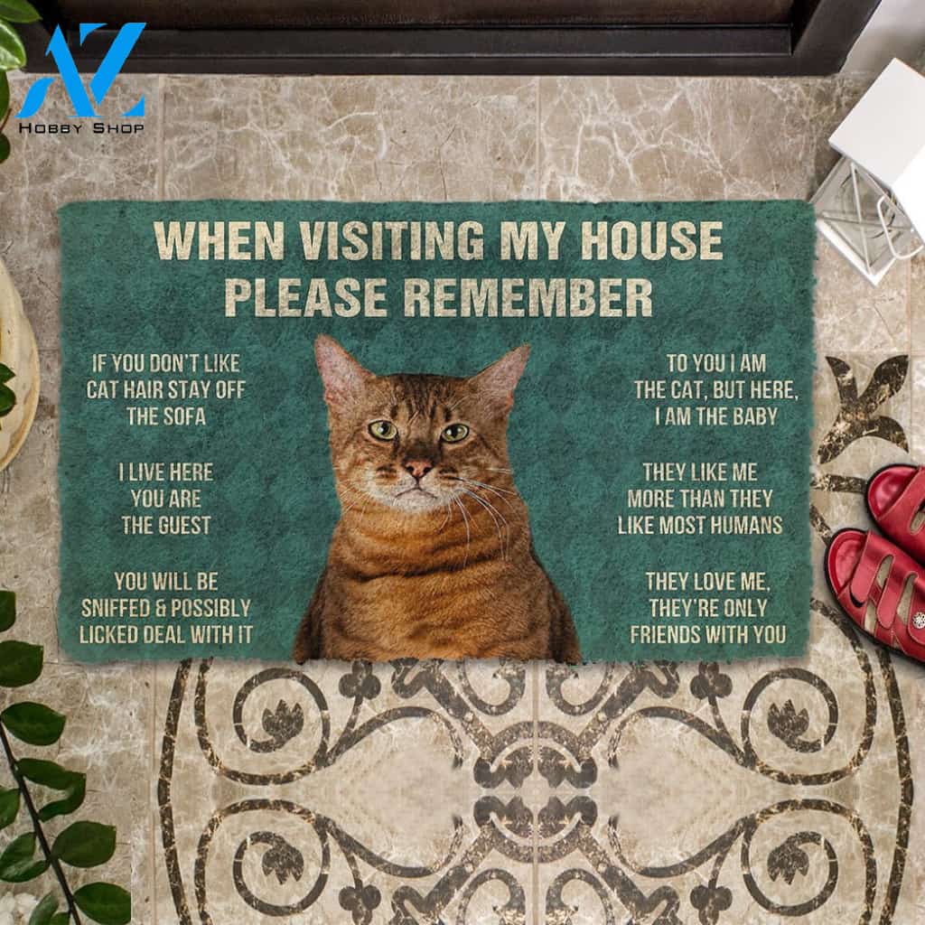 3D Please Remember Toyger Cat House Rules Custom Doormat | Welcome Mat | House Warming Gift