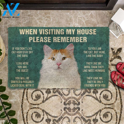 3D Please Remember Turkish Van Cat House Rules Custom Doormat | Welcome Mat | House Warming Gift