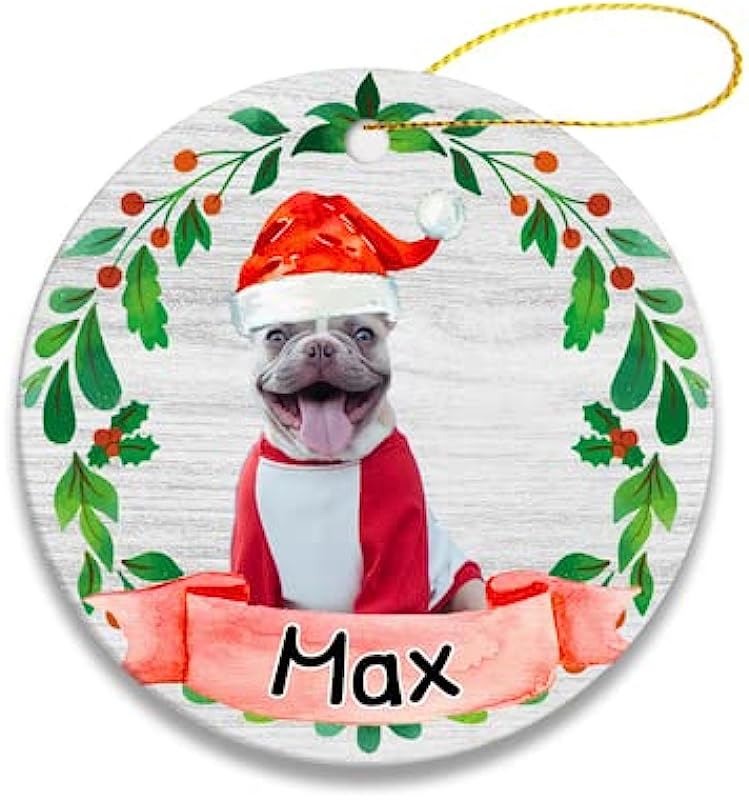 Custom Pet Christmas Ornament Personalized Pet Ornaments Cat Dog Photo Gift 2.8" Hanging Display Christmas Tree Decor - Circle Ornament