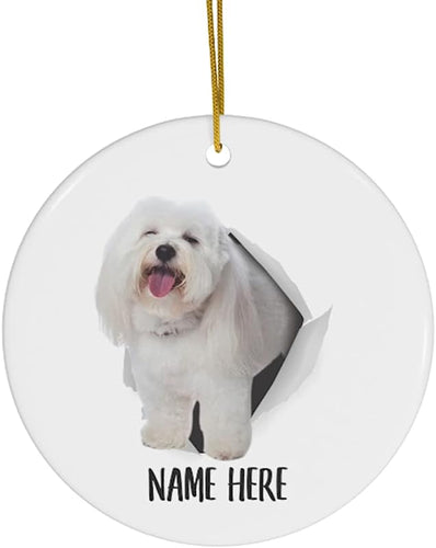 Lovesout Cute Coton De Tulear White Personalized Name Gifts  Christmas Tree Ornaments Ceramic Circle