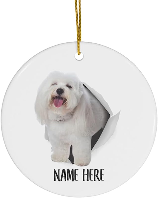 Lovesout Cute Coton De Tulear White Personalized Name Gifts  Christmas Tree Ornaments Ceramic Circle