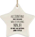 Funny Accountant Christmas Ornament   Novelty Gift For Coworkers   Accounting Job Title   Sarcastic Office Humor Decor   Xmas Tree