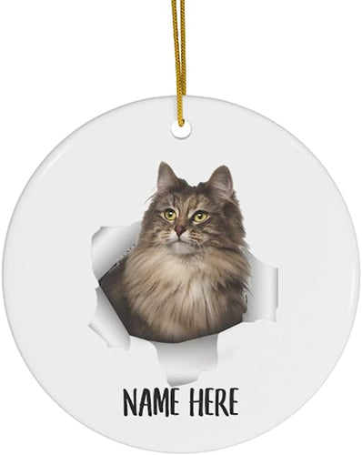 Cute Norwegian Forest Cat Grey Personalized Name Gifts  Christmas Tree Ornaments Circle Ceramic