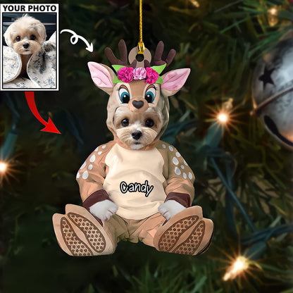 Personalized Gift For Pet Lovers Pet In Santa Claus Costume