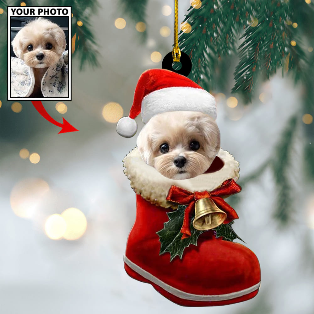 Personalized Gift For Pet Lovers Pet In Santa Shoes
