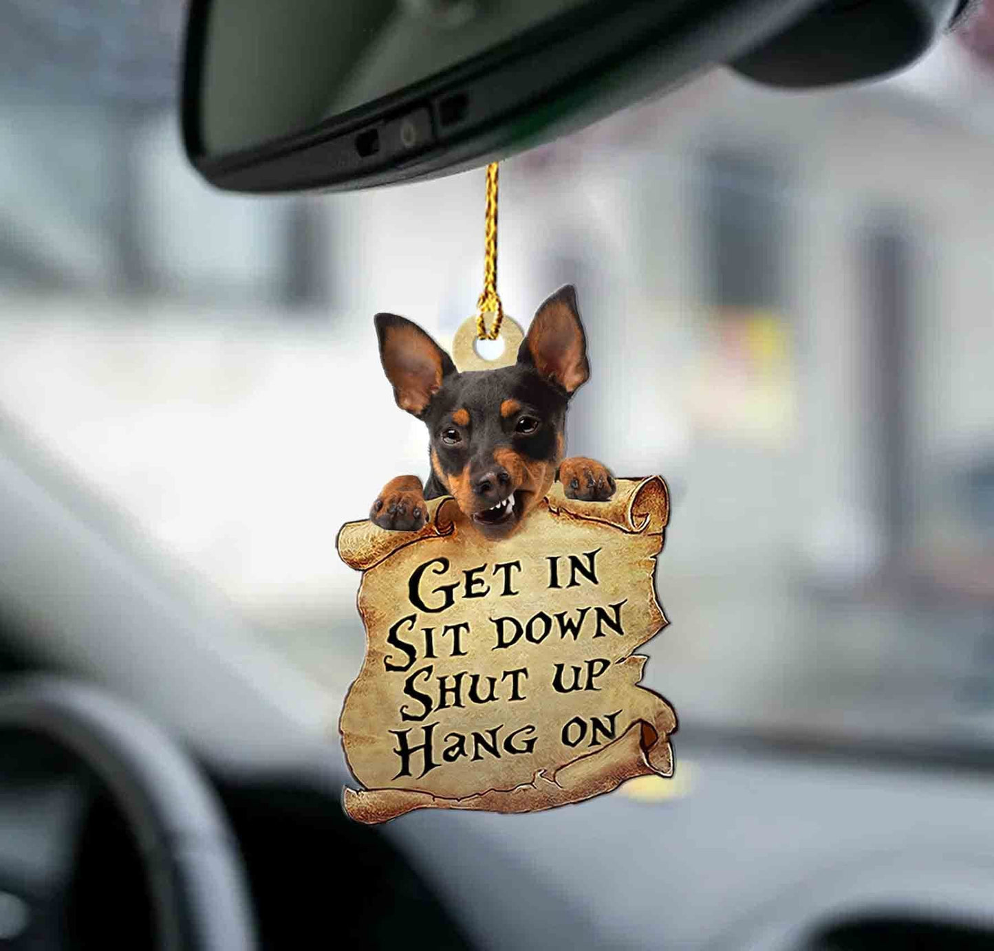 Godmerch- Ornaments- Miniature pinscher get in minpin lover two sided ornament, Dog Ornaments, Car Ornaments