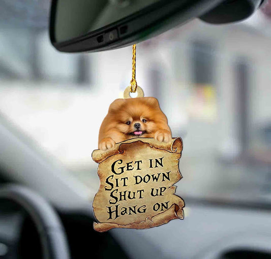 Godmerch- Ornaments- Pomeranian get in pomeranian lover two sided ornament, Dog Ornaments, Car Ornaments