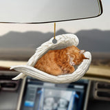 Godmerch- Ornaments- Maine Coon sleeping angel Maine Coon lovers ornament, Dog Ornaments, Car Ornaments