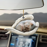 Godmerch- Ornaments- Sphynx cat sleeping angel Sphynx cat lovers cat moms ornament, Dog Ornaments, Car Ornaments