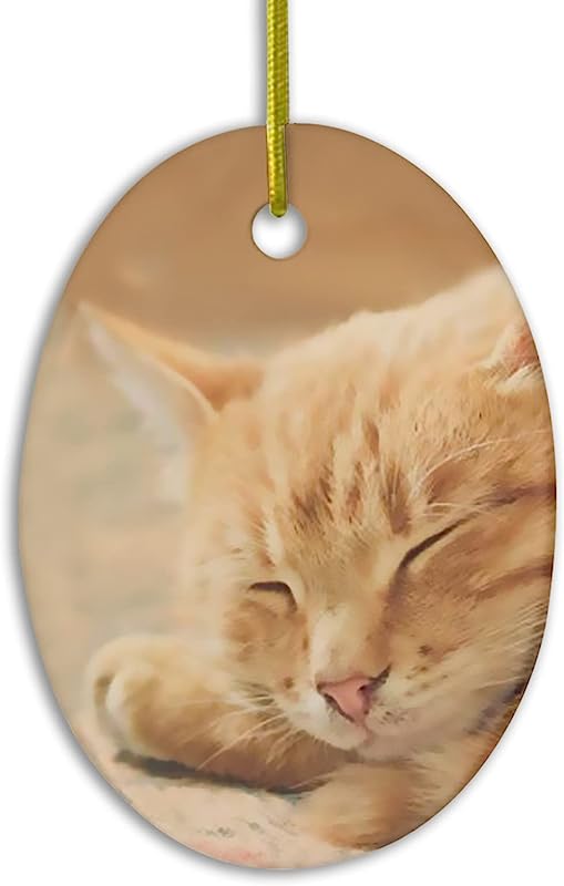 Sleeping Orange Tabby Cat Ceramic Christmas Ornament Oval Flat Tree Hanging Keepsake Xmas Decoration Exchange Souvenir Gift Made In Usa