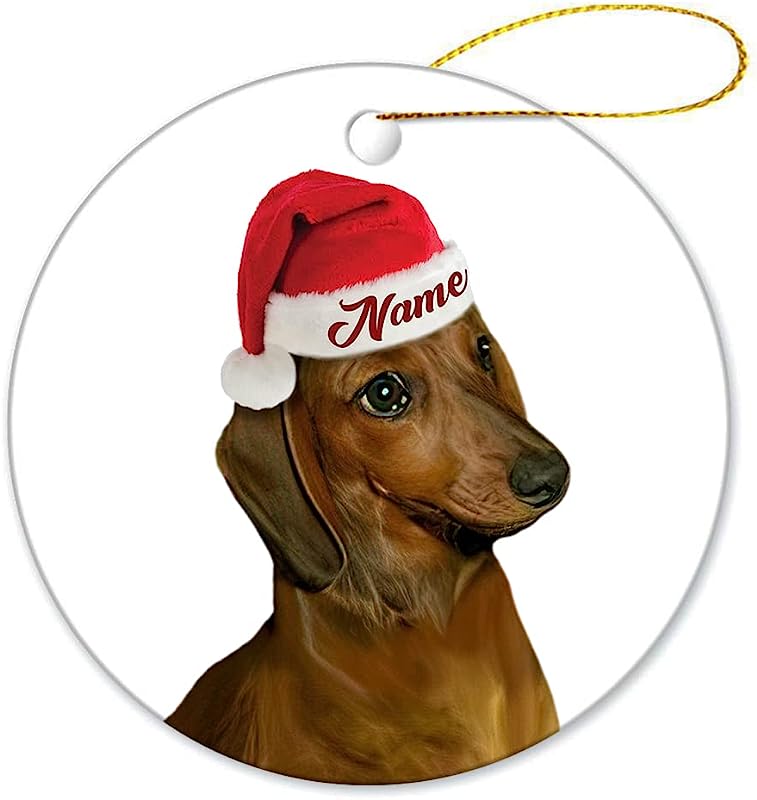 Dachshund Brown Christmas Ornament, Personalized Pets Ornaments, Custom Pets Name Christmas Bauble, Memorial Gifts Ornament For Pets Mom Dad, Keepsake Christmas Tree Decorations Hanging Ornaments
