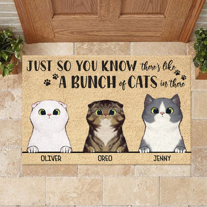 Just So You Know There's Like A Bunch Of Cats In There - Funny Personalized Cat Doormat