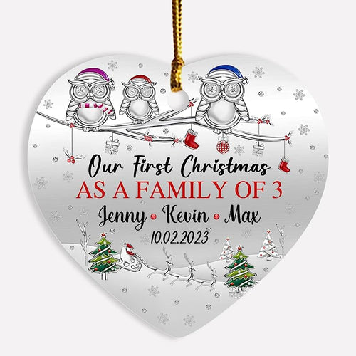 1St Xmas As A Family Of 3 Owl Ornament Gift For New Parents New Dad New Mom Xmas , Personalized Our First Christmas As A Family Of 3 Ornament, Customized Date & Name Family Of 3 Owl Ornament Gift