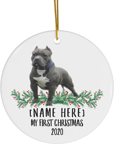 Lovesout Personalized Name Custom Year American Bully Blue Grey New Years 2024 Decorations Gifts First  Christmas Tree Ornaments Ceramic Circle