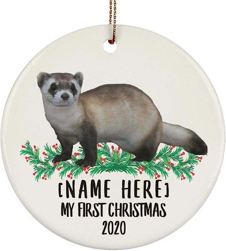 Lovesout Personalized Name Custom Year Black Footed Ferret Tan New Years 2024 Decorations Gifts First  Christmas Tree Ornaments Ceramic Circle