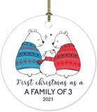 First Christmas As A Family Of 3 Christmas Ornament Bear Keepsake Gift For Babys New Parents Holiday Xmas Tree Decorations Flat Circle Ceramic Ornament 3 Inch