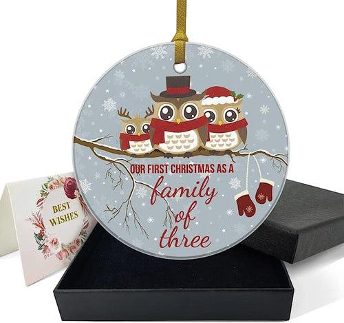 Our First Christmas As A Family Of Three Ornaments Owls Family 1St Christmas Ornament Winter For Baby New Parents 3" Circle Ceramic Ornament With Gold Ribbon & Gift Box