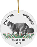 Lovesout Funny Personalized Name Maine Coon Cat Gray Dear Santa Define Naughty Gifts  Christmas Tree Ornaments White Ceramic Circle