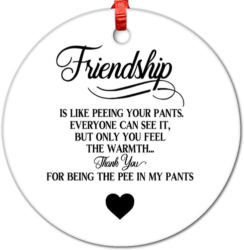 Friendship Is Like Peeing Your Pants.Everyone Can See It Hanging Ornaments Ceramic Decor Funny Quotes Souvenir Gift Graduation Souvenir For Friends Double Sided Prints Ceramic Souvenir