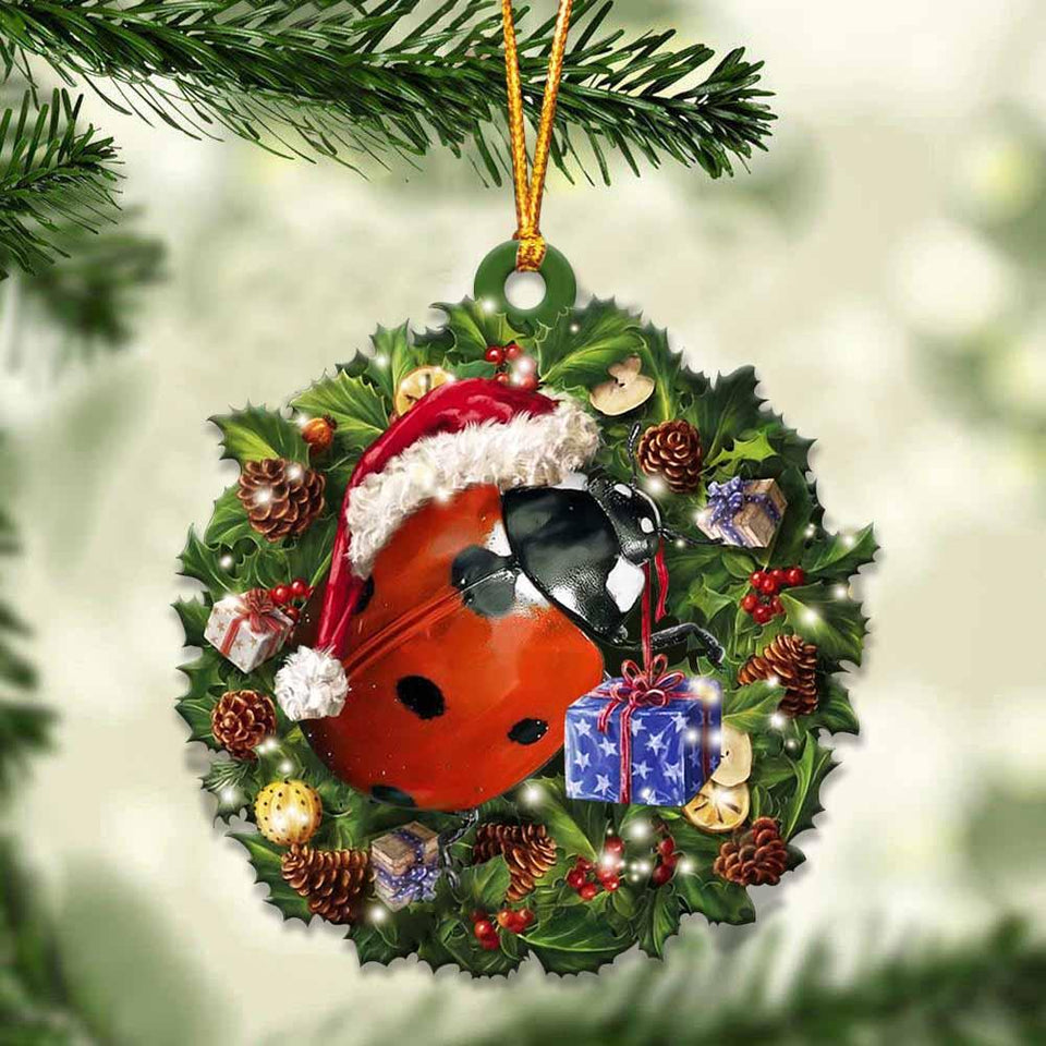 Ladybug and Christmas gift for her gift for him gift for Ladybug lover ornament, Christmas Ornament