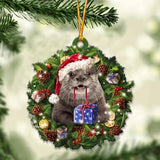 Otters and Christmas gift for her gift for him gift for Otters lover ornament, Christmas Ornament