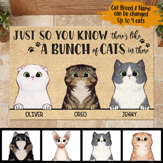 Just So You Know There's Like A Bunch Of Cats In There - Funny Personalized Cat Doormat