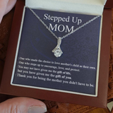 To My Stepped Up Mom Necklace Gift - You may not have given me the gift of life, but you have given me the gift you you Alluring Beauty Necklace 343H - TGV