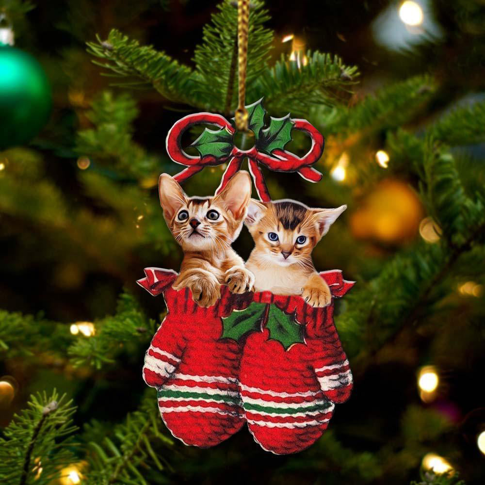 Abyssinian Inside Your Gloves Christmas Holiday-Two Sided Ornament, Christmas Ornament, Car Ornament