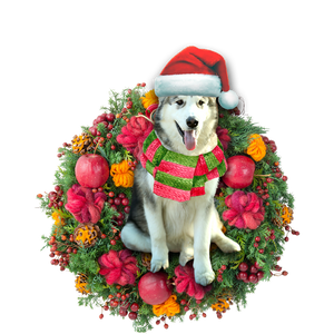 Godmerch- Ornament- Alaskan Malamute Christmas Ornament, Happy Christmas Ornament, Car Ornament