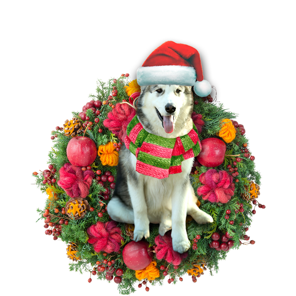 Godmerch- Ornament- Alaskan Malamute Christmas Ornament, Happy Christmas Ornament, Car Ornament