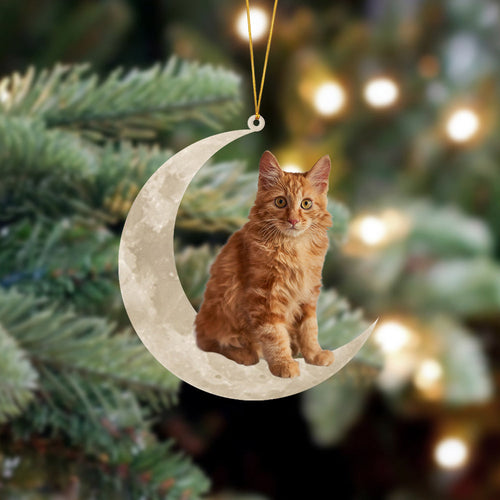 American Bobtail Cat Sits On The Moon Hanging Ornament Cat Christmas Acrylic Ornament