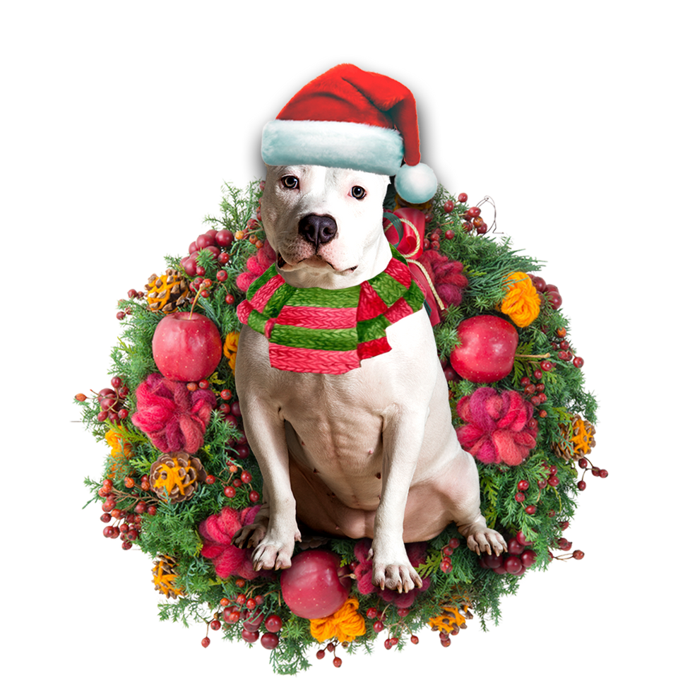 Godmerch- Ornament- American Bulldog Christmas Ornament, Happy Christmas Ornament, Car Ornament