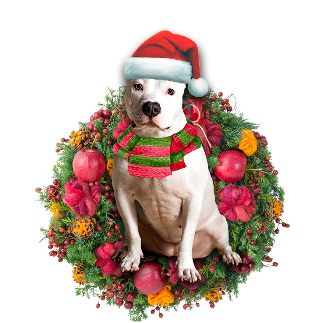 Godmerch- Ornament- American Bulldog Christmas Ornament, Happy Christmas Ornament, Car Ornament