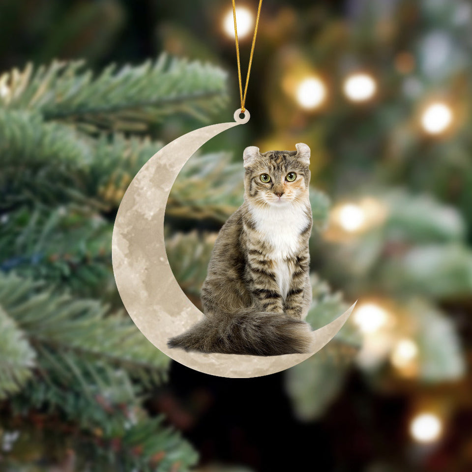 American Curl Cat Sits On The Moon Hanging Ornament Cat Christmas Acrylic Ornament