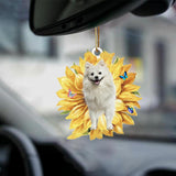 American Eskimo-The Sunshine-Two Sided Ornament